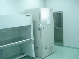 生物净化工程